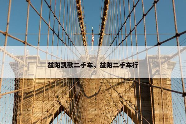 益阳凯歌二手车，益阳二手车行