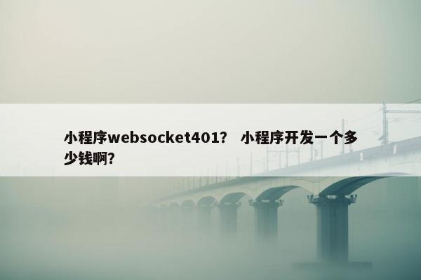 小程序websocket401？ 小程序开发一个多少钱啊？