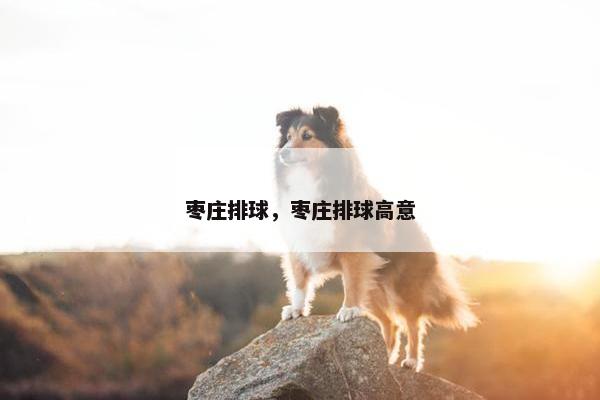 枣庄排球，枣庄排球高意