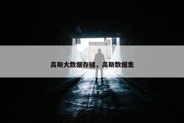 高斯大数据存储，高斯数据集
