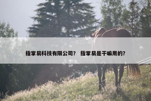 指掌易科技有限公司？ 指掌易是干嘛用的？