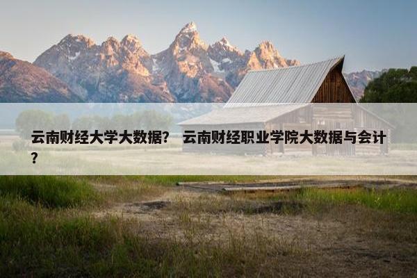 云南财经大学大数据？ 云南财经职业学院大数据与会计？