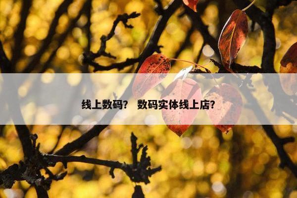 线上数码？ 数码实体线上店？