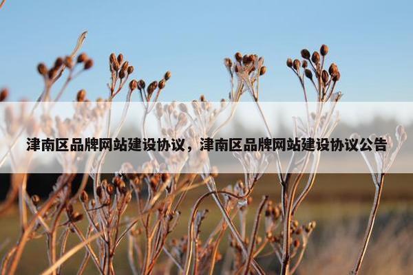 津南区品牌网站建设协议，津南区品牌网站建设协议公告