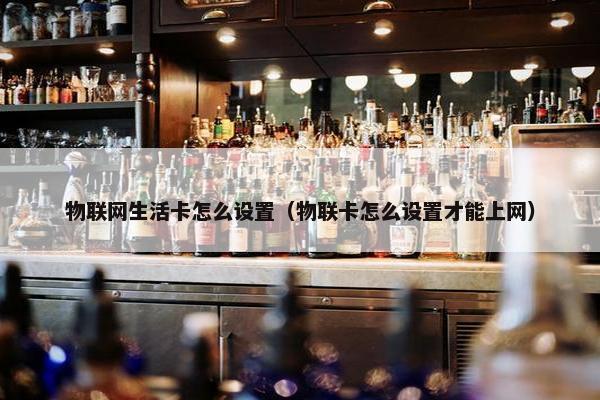 物联网生活卡怎么设置（物联卡怎么设置才能上网）