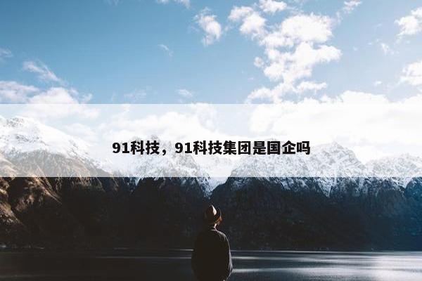91科技，91科技集团是国企吗