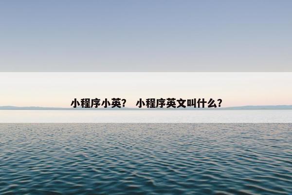 小程序小英？ 小程序英文叫什么？