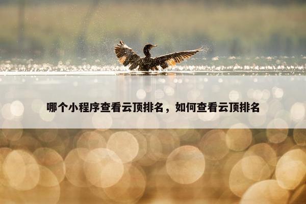 哪个小程序查看云顶排名，如何查看云顶排名