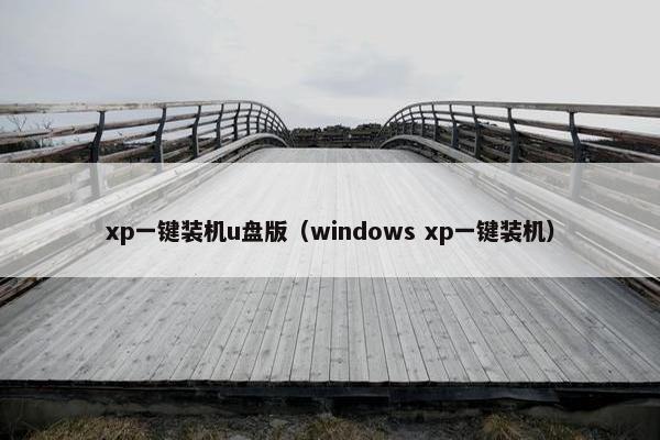xp一键装机u盘版（windows xp一键装机）