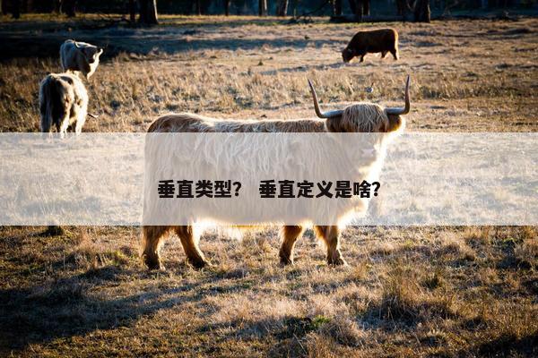 垂直类型？ 垂直定义是啥？