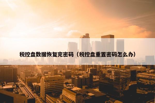 税控盘数据恢复完密码（税控盘重置密码怎么办）