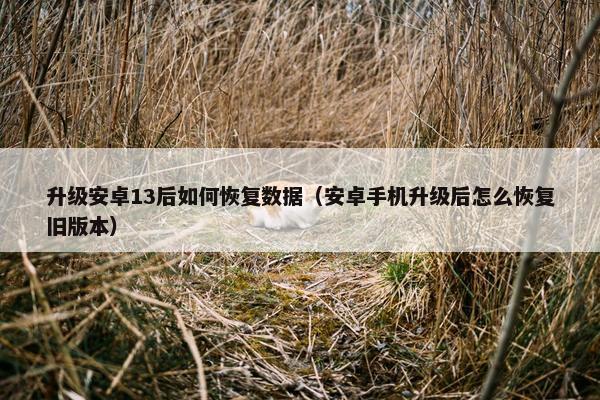 升级安卓13后如何恢复数据（安卓手机升级后怎么恢复旧版本）
