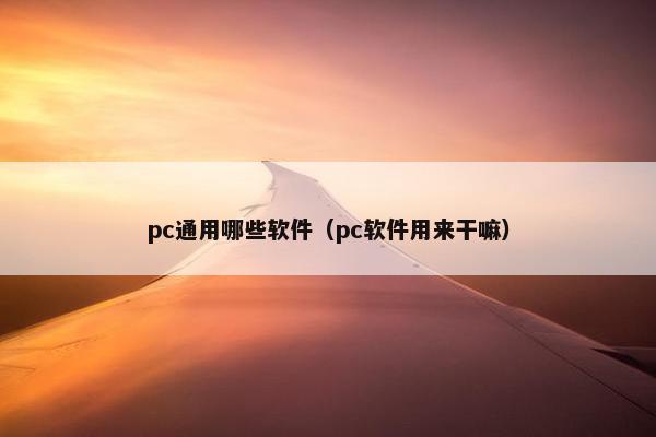 pc通用哪些软件（pc软件用来干嘛）
