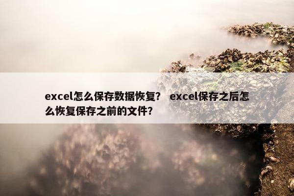 excel怎么保存数据恢复？ excel保存之后怎么恢复保存之前的文件？