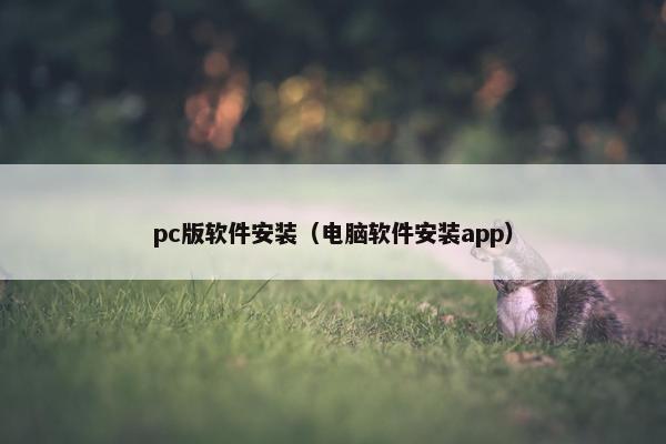 pc版软件安装（电脑软件安装app）