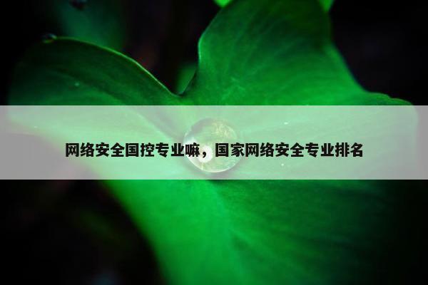 网络安全国控专业嘛，国家网络安全专业排名