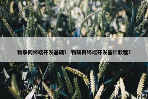 物联网终端开发基础？ 物联网终端开发基础教程？