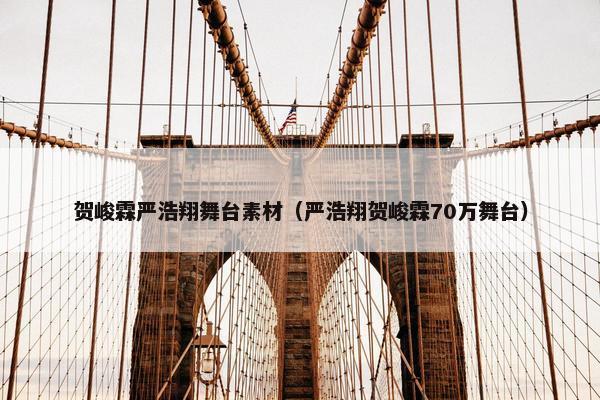 贺峻霖严浩翔舞台素材（严浩翔贺峻霖70万舞台）