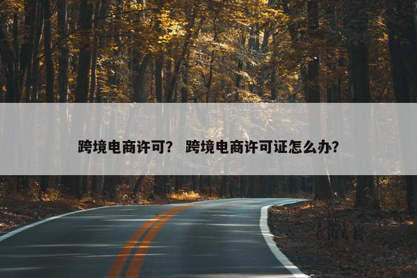 跨境电商许可？ 跨境电商许可证怎么办？