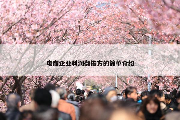 电商企业利润翻倍方的简单介绍