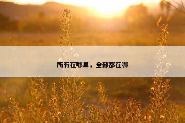 所有在哪里，全部都在哪