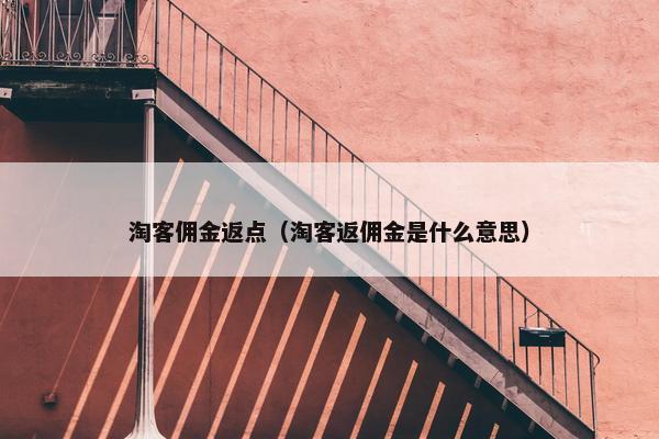 淘客佣金返点（淘客返佣金是什么意思）
