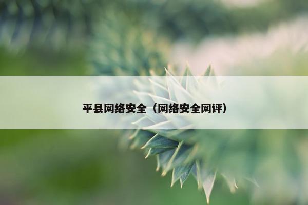 平县网络安全（网络安全网评）