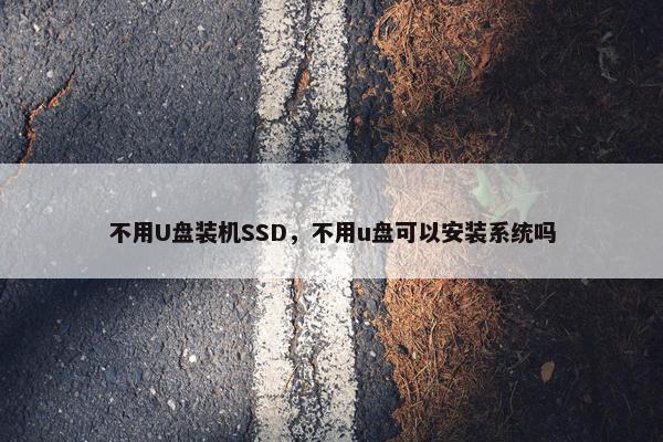 不用U盘装机SSD，不用u盘可以安装系统吗