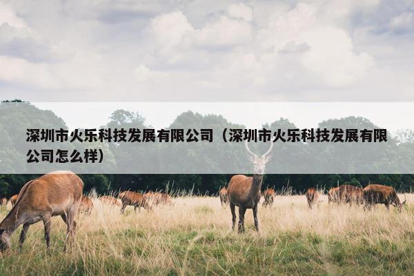 深圳市火乐科技发展有限公司（深圳市火乐科技发展有限公司怎么样）