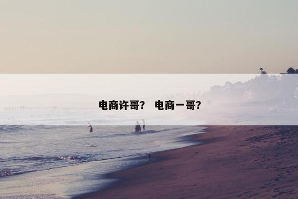 电商许哥？ 电商一哥？