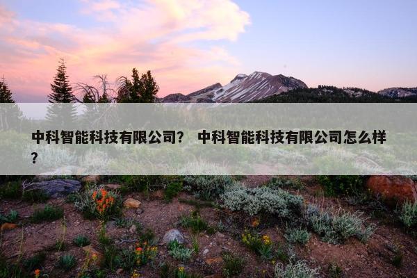 中科智能科技有限公司？ 中科智能科技有限公司怎么样？