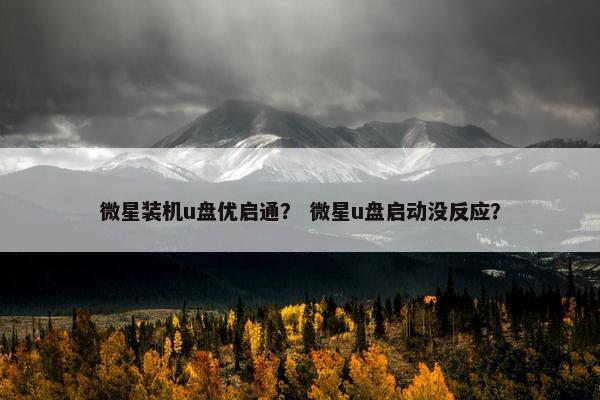 微星装机u盘优启通？ 微星u盘启动没反应？