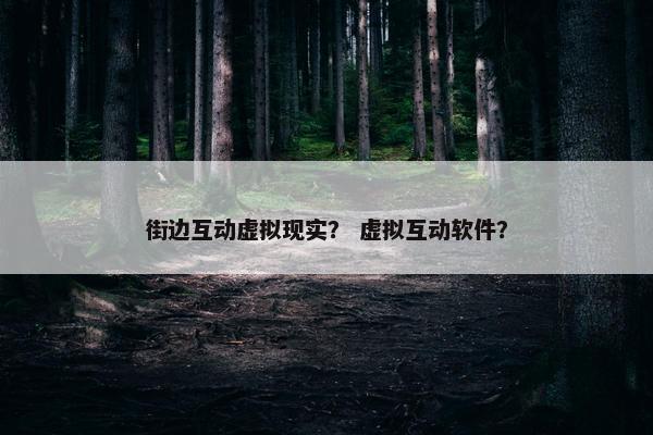 街边互动虚拟现实？ 虚拟互动软件？