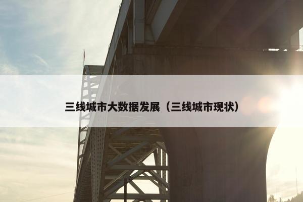 三线城市大数据发展（三线城市现状）