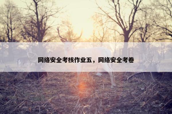 网络安全考核作业五，网络安全考卷