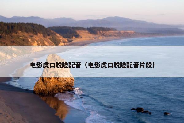 电影虎口脱险配音（电影虎口脱险配音片段）