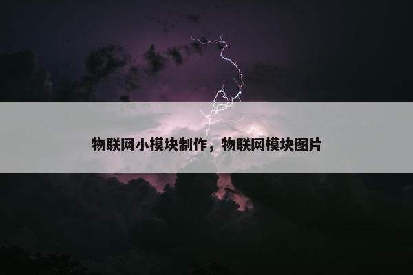 物联网小模块制作，物联网模块图片