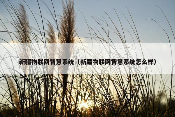 新疆物联网智慧系统（新疆物联网智慧系统怎么样）