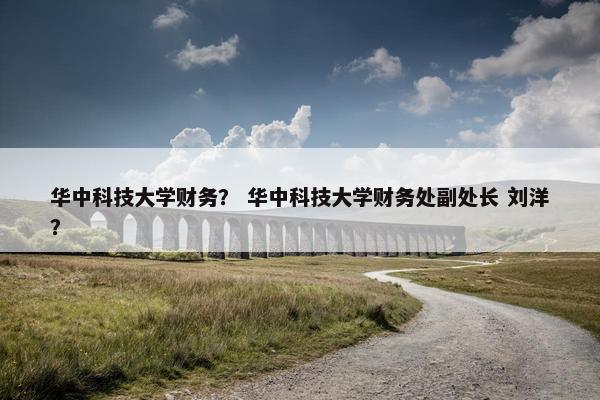 华中科技大学财务？ 华中科技大学财务处副处长 刘洋？