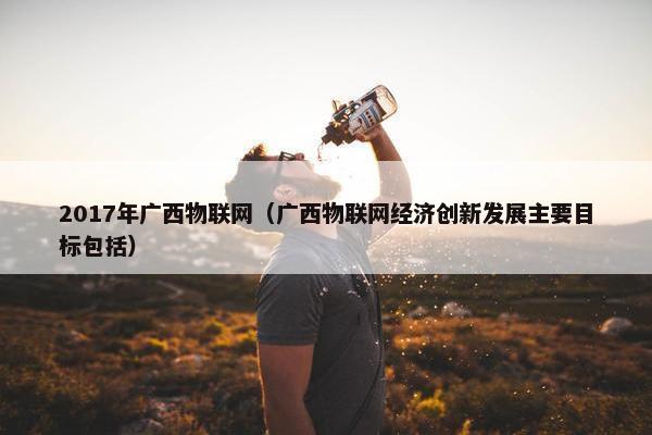 2017年广西物联网（广西物联网经济创新发展主要目标包括）