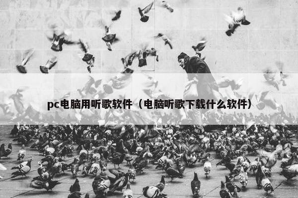 pc电脑用听歌软件（电脑听歌下载什么软件）