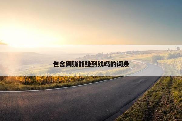 包含网赚能赚到钱吗的词条