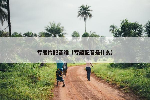 专题片配音谁（专题配音是什么）