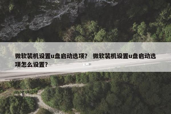 微软装机设置u盘启动选项？ 微软装机设置u盘启动选项怎么设置？