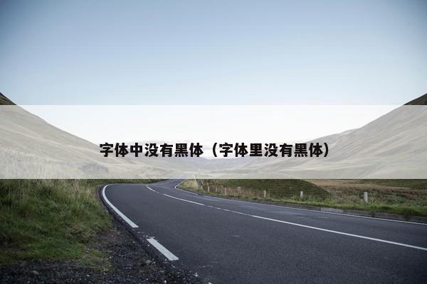 字体中没有黑体（字体里没有黑体）