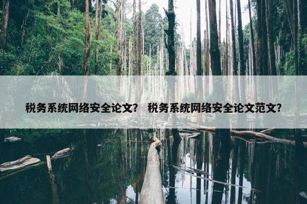 税务系统网络安全论文？ 税务系统网络安全论文范文？