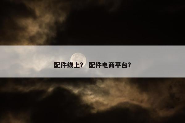 配件线上？ 配件电商平台？