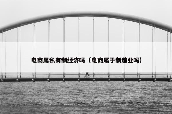 电商属私有制经济吗（电商属于制造业吗）