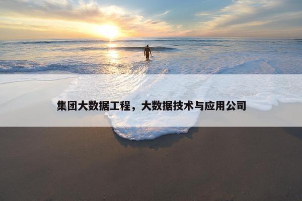 集团大数据工程，大数据技术与应用公司