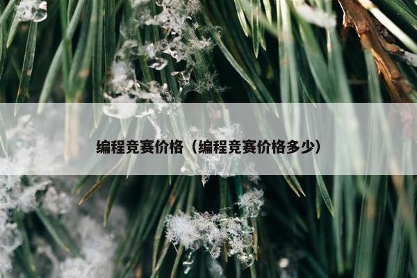 编程竞赛价格（编程竞赛价格多少）